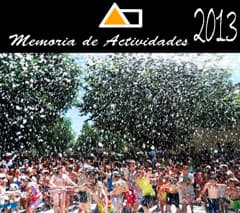actividad 2013